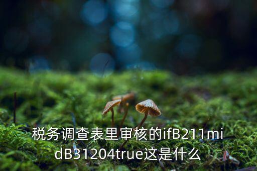 國稅調(diào)查表有什么意義，國稅要求地址普查的目的是什么
