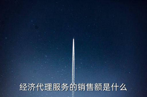 經濟代理服務的銷售額是什么