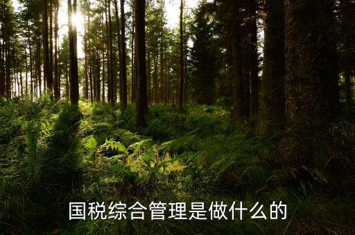 國稅綜合業(yè)務(wù)是什么，國稅綜合管理是做什么的