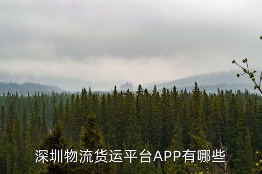 深圳物流貨運(yùn)平臺APP有哪些