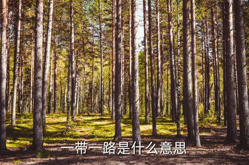 什么是稅收一帶一路，一帶一路指什么意思