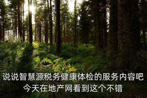 說說智慧源稅務健康體檢的服務內(nèi)容吧今天在地產(chǎn)網(wǎng)看到這個不錯
