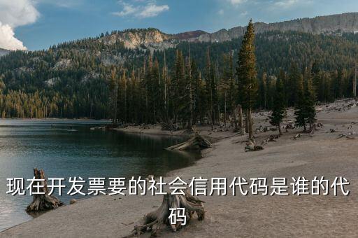 發(fā)票上有社會(huì)信用代碼是什么，現(xiàn)在開發(fā)票要的社會(huì)信用代碼是誰的代碼