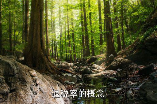 出口退稅率是什么意思，出口退稅率是什么意思啊什么樣的人要交呢