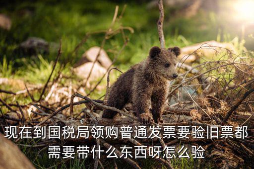 發(fā)票驗(yàn)舊都需要帶什么，現(xiàn)在到國(guó)稅局領(lǐng)購(gòu)普通發(fā)票要驗(yàn)舊票都需要帶什么東西呀怎么驗(yàn)