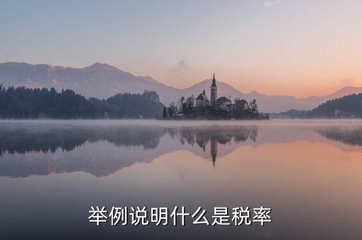 稅率說明是什么意思，稅率是什么意思