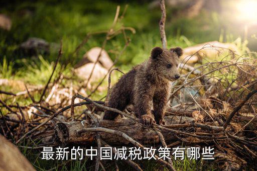 各國減稅結(jié)果會(huì)是什么，最新的中國減稅政策有哪些