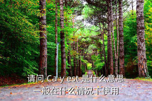 ca棒有什么作用是什么意思，CA的全稱是什么它的具體作用是什么