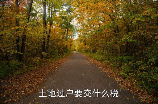 土地買賣交什么稅，土地買賣應(yīng)交的稅項