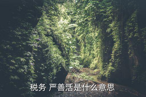 中國稅務(wù)精神是什么意思，稅務(wù)是什么意思啊學(xué)什么內(nèi)容
