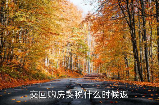 什么時候購的房可以返還契稅，購房契稅何時能退下來
