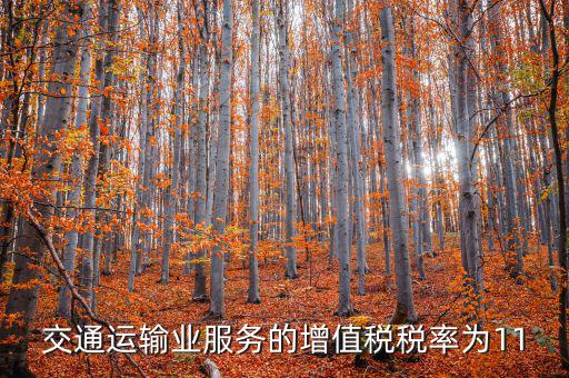11稅率的服務(wù)包括什么，營改增后11個點稅包括哪些內(nèi)容