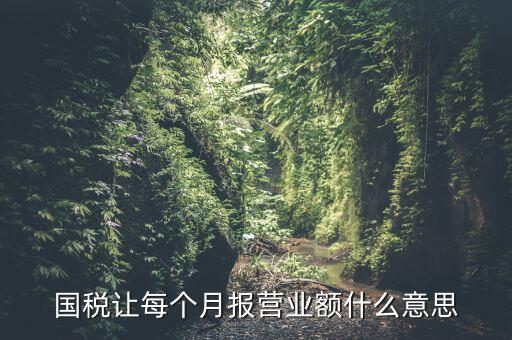 國稅每月報稅的是什么意思，請問每月抄稅和報稅各是什么意思