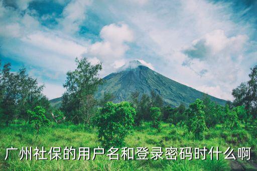 地稅社保用戶(hù)名是什么，南京這邊可以國(guó)稅扣稅款一個(gè)賬號(hào)基本戶(hù)地稅扣款比如社保