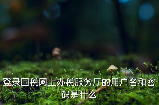 電子稅務(wù)密碼是什么，登錄國稅網(wǎng)上辦稅服務(wù)廳的用戶名和密碼是什么