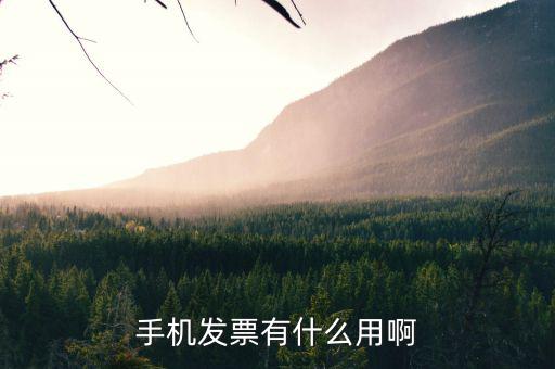 發(fā)票小助手有什么用，微信發(fā)票小助手小程序怎么用
