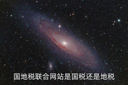國(guó)地稅聯(lián)合辦稅是什么，國(guó)地稅聯(lián)合稅費(fèi)申報(bào)什么意思