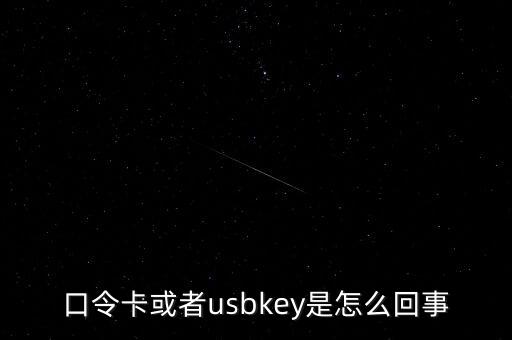 未插usbkey什么意思，口令卡或者usbkey是怎么回事