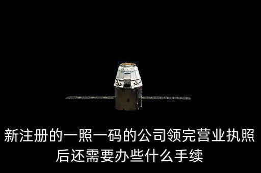 一照一碼后還需辦什么，網(wǎng)上申請一照一碼必須要經(jīng)辦人的U盾嗎