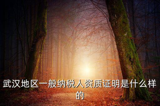 納稅資質(zhì)證明是什么意思，什么是稅務(wù)證明