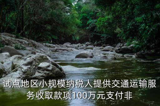 什么向試點地區(qū)納稅人支付費用，4試點地區(qū)內一般納稅人向試點地區(qū)內一般納稅人支付費用取得增值