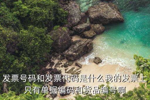 發(fā)票代號是什么，發(fā)票紙質(zhì)代碼是什么意識