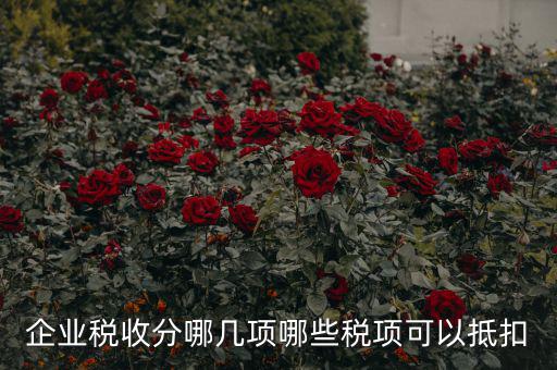 什么可以抵企業(yè)所得稅，什么費(fèi)用可以抵企業(yè)所得稅