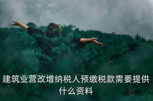 預(yù)繳稅款要什么資料，到國(guó)稅局預(yù)交稅款需要帶什么東西