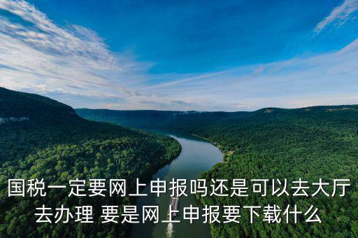地稅進國稅要下載什么，深圳國地稅想網(wǎng)上申報要下載什么東西嗎