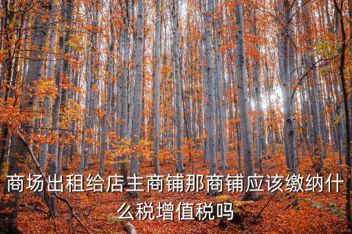 租用商鋪需要交什么稅，我租個(gè)門市都需交什么稅