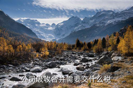 企業(yè)重組都交什么稅，企業(yè)是需要交哪些稅
