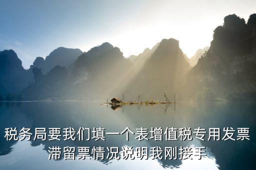 稅務(wù)局要我們填一個(gè)表增值稅專用發(fā)票滯留票情況說(shuō)明我剛接手