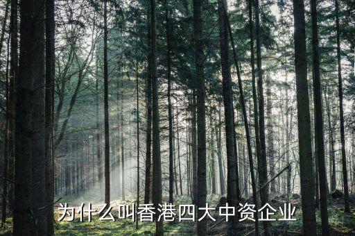 什么叫中資控股企業(yè)，為什么叫香港四大中資企業(yè)