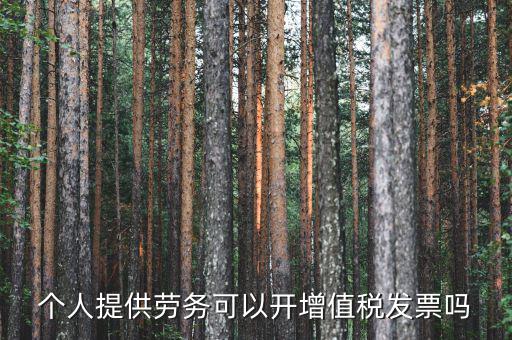 什么是個人勞務(wù)發(fā)票嗎，個人開工程勞務(wù)費發(fā)票是在工程所在地開具嗎