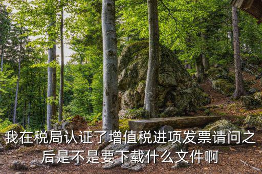 我在稅局認(rèn)證了增值稅進(jìn)項(xiàng)發(fā)票請(qǐng)問(wèn)之后是不是要下載什么文件啊