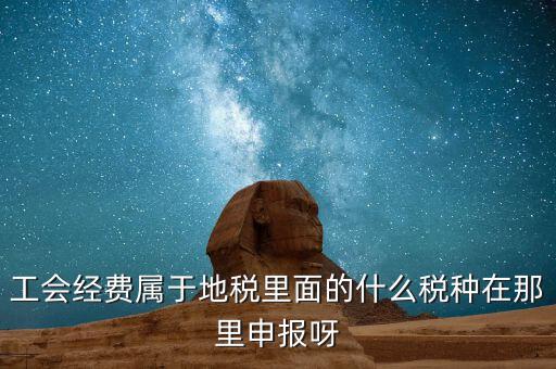 工會(huì)活動(dòng)費(fèi)中稅是什么，工會(huì)經(jīng)費(fèi)屬于地稅里面的什么稅種在那里申報(bào)呀
