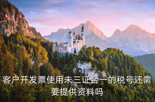 無(wú)證合一的稅號(hào)是什么，客戶開(kāi)發(fā)票使用未三證合一的稅號(hào)還需要提供資料嗎