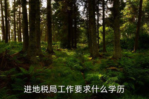 地稅上班要會什么最低學歷，要去地稅局上班都要學些什么啊