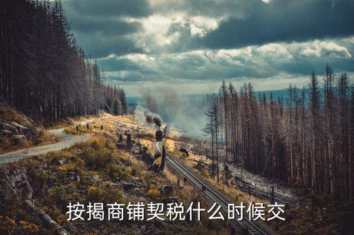 商鋪租賃稅什么時候交，租賃店鋪一般首次需要繳納幾個月的租金