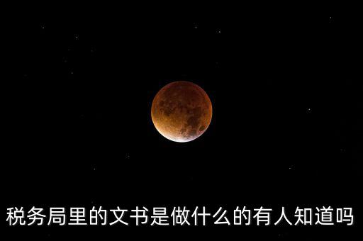 稅務(wù)文書是什么，急需稅務(wù)文書格式