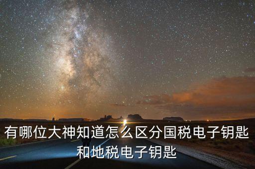 國(guó)稅電子鑰匙是什么，稅務(wù)密鑰是什么東西是數(shù)字證書(shū)嗎