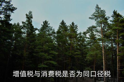 稅收可比口徑什么意思，稅收比重什么意思