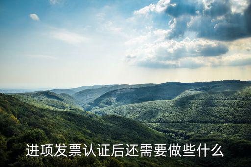 核定發(fā)票后發(fā)行后還坐什么，認(rèn)證完發(fā)票在干什么