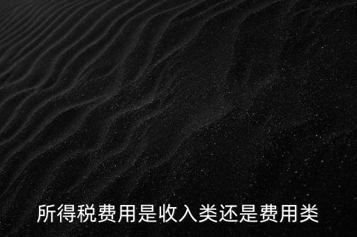 所得稅屬于什么費(fèi)用，所得稅費(fèi)用是收入類還是費(fèi)用類