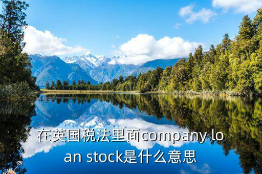 英國出國稅 是什么意思，在英國稅法里面company loan stock是什么意思