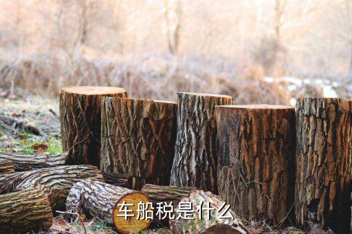 保險的車船稅是什么意思，車船稅是什么