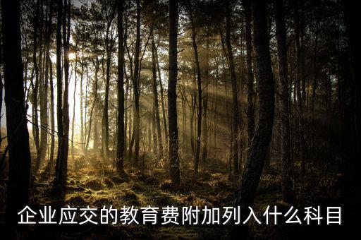 教育費(fèi)附加干什么，教育費(fèi)附加代表什么意思