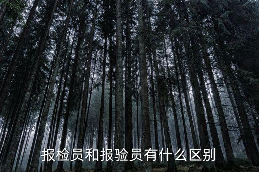 報(bào)驗(yàn)企業(yè)是什么意思，外埠納稅人經(jīng)營地報(bào)驗(yàn)登記是什么意思