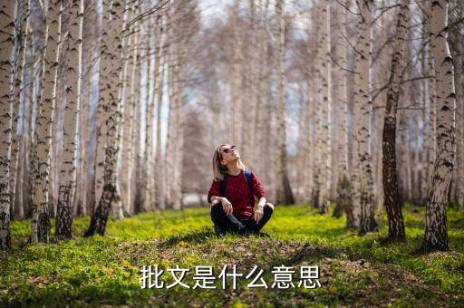 免稅批文是什么，批文是什么意思