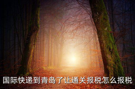 青島物流公司拿什么稅，國際快遞到青島了讓通關(guān)報稅怎么報稅